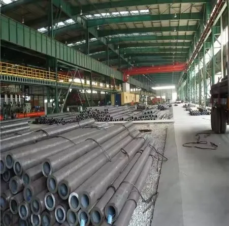 A691 CMSH70 KLASSE43 BUIS